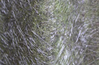 Parc Penallta Country Park fibreglass roof work